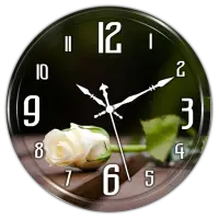 White Rose Clock Live WP أيقونة