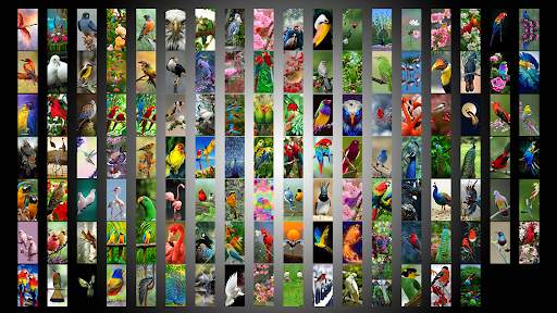 Birds Wallpaper Offline स्क्रीनशॉट 1