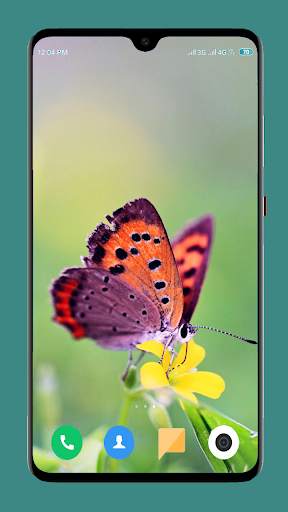 Butterfly Wallpaper 4K screenshot 16