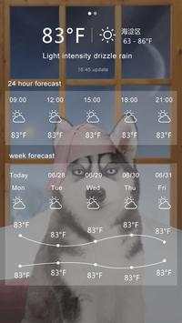 Dog screenshot 3