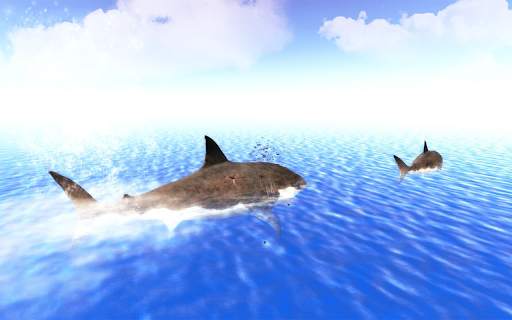 The Shark screenshot 22