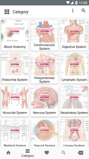 Human Anatomy and Physiology screenshot 2