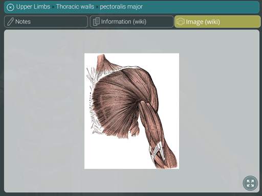 Visual Anatomy 3D | Human screenshot 14