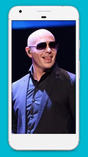 Pitbull All Songs screenshot 2