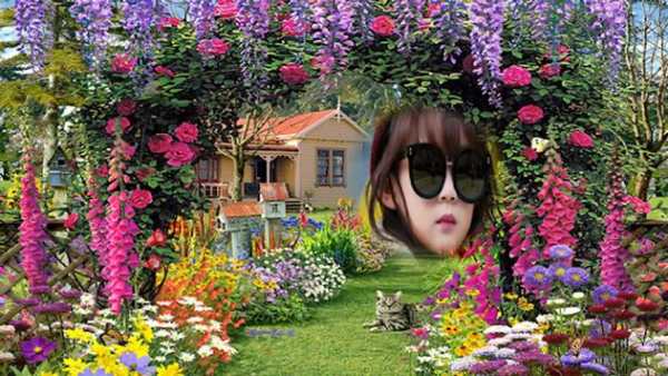Garden Photo Frames screenshot 6