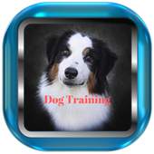 Dog Training Apps for real Dogs offline 1.0