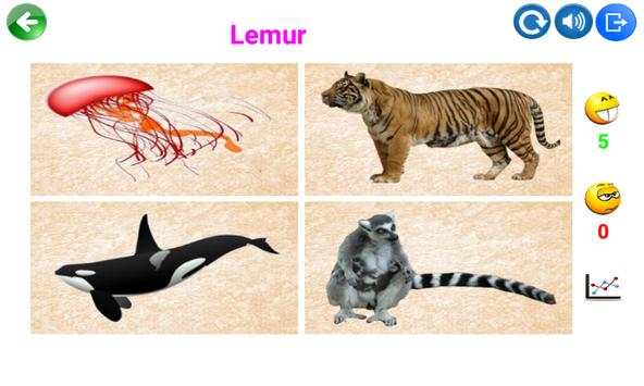 Kids Learning Animals & Birds screenshot 4
