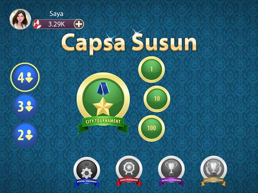 Capsa Susun screenshot 8