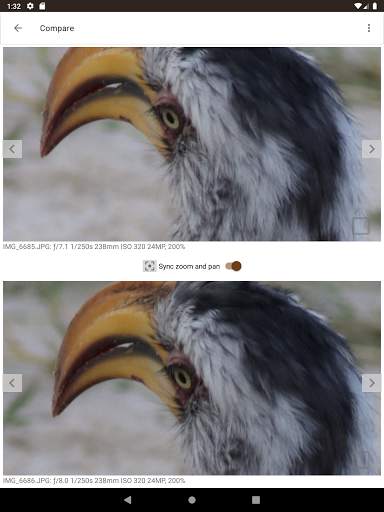 Photo Compare screenshot 7