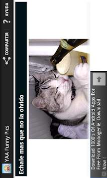 YAA Funny Pics screenshot 4