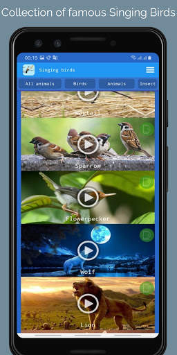 Singing Birds स्क्रीनशॉट 4