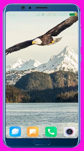 Eagle Wallpaper Best 4K screenshot 5