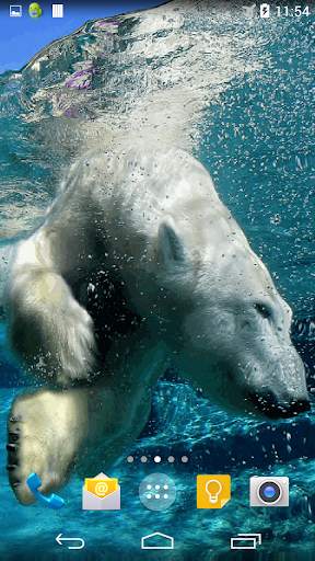 Polar Bear Live Wallpaper screenshot 2