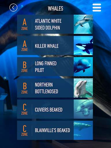 Whales of Iceland Audio Guide! screenshot 11