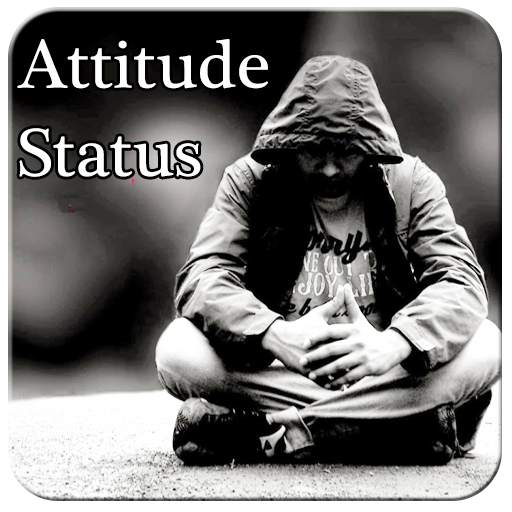 Attitude Status 14.0