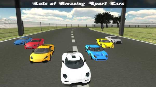Real Racing In Car screenshot 1