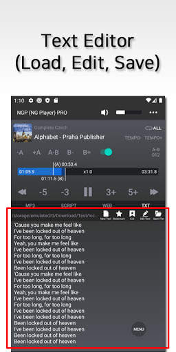 Audio Loop Player, Repeat Player, with Web Browser 5 تصوير الشاشة