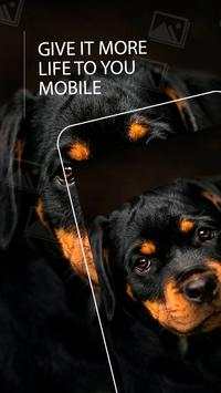 Wallpaper Rottweiler screenshot 1