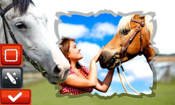Horse Photo Frames screenshot 4