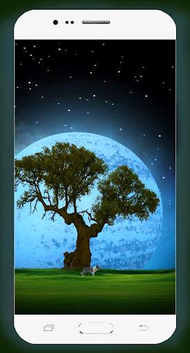 Dream Night Wallpaper screenshot 11