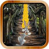 Looney Toons Dash Adventure 1.0