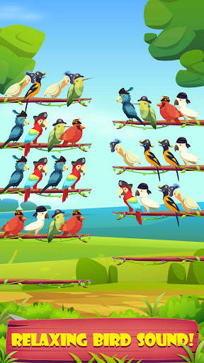 Pirate Bird Sort screenshot 4