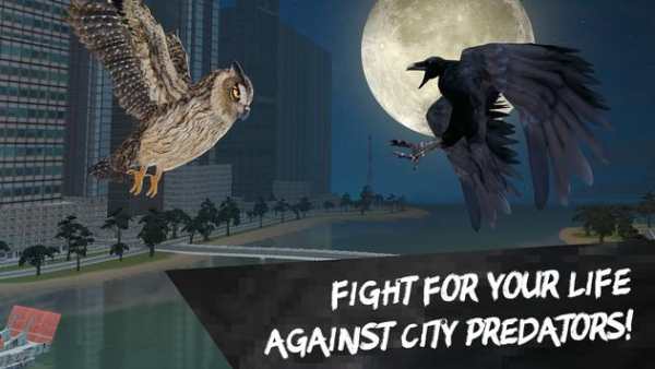 City Bird Crow Simulator 3D screenshot 2