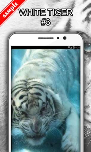 White Tiger Wallpapers screenshot 4