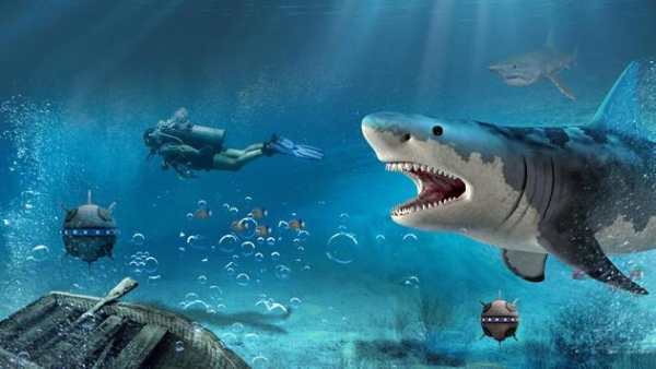 Angry Shark Attack screenshot 4