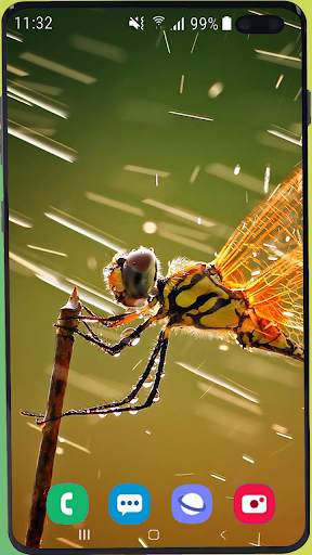 Dragonfly Wallpaper Best HD screenshot 10