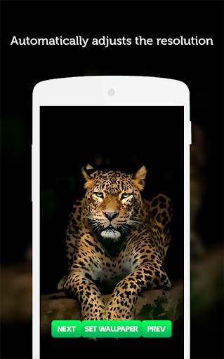 Leopard Wallpaper screenshot 3