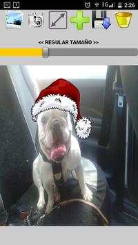 Foto Navidad y gorro Papa Noel screenshot 1