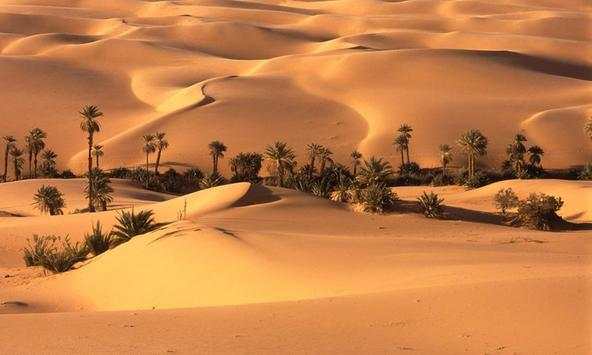 Desert Wallpapers screenshot 4
