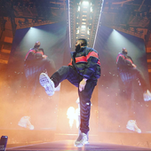 Drake icon