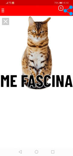 New Funny Cat Stickers For WhatsApp WAStickerApps screenshot 3