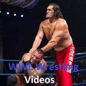 WWE Wrestling videos 1.0
