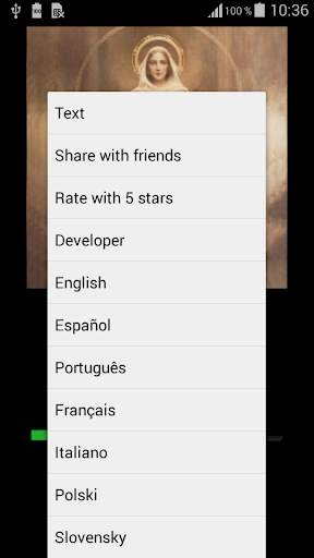 Litany of Loreto (audio   text) offline screenshot 2