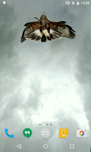 Eagle Live Wallpaper screenshot 4