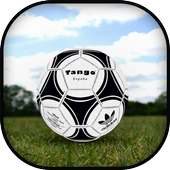 Soccer / Football Ball
