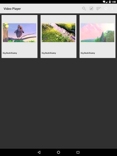 Lettore video screenshot 10