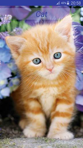 Cute Animal Sounds screenshot 2