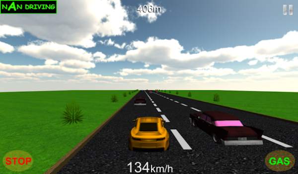 NaN Driving screenshot 4