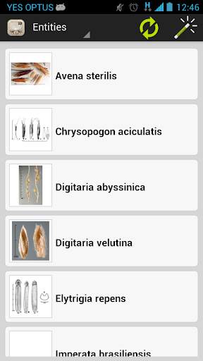 Federal Noxious Weeds Key screenshot 3