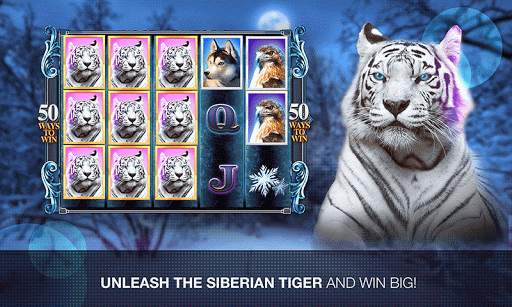 Slots Super Tiger Casino Slots screenshot 2