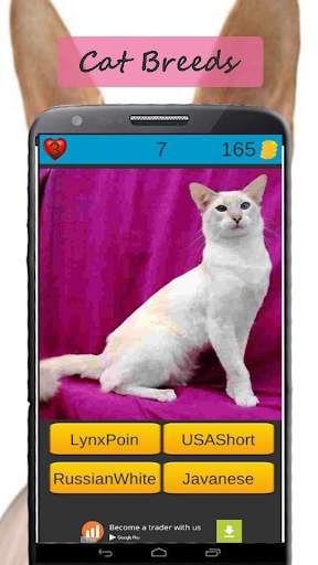Cat Breeds: Cat Games screenshot 3