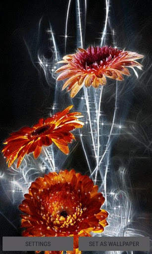 Lighting Flowers Live Wallpaper screenshot 1