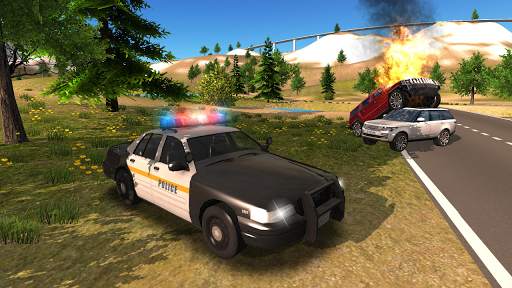 Police Car Driving Offroad screenshot 8