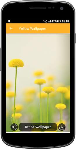 Yellow Wallpaper screenshot 6