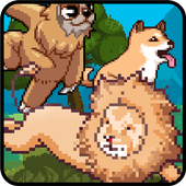 Animal Age icon