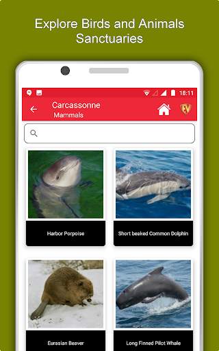 Carcassonne Travel & Explore,  screenshot 13